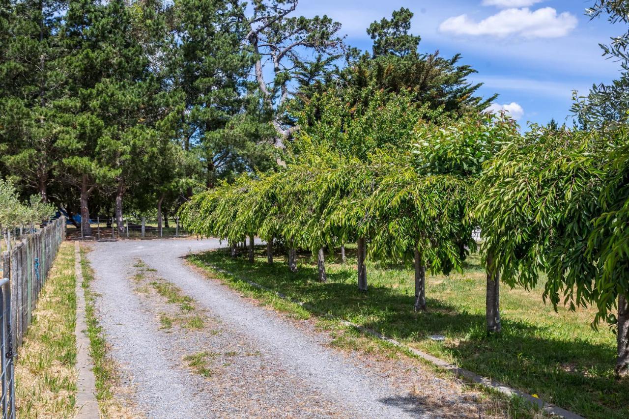 Brooklands Cottage The Award Winning Villa Martinborough Dış mekan fotoğraf